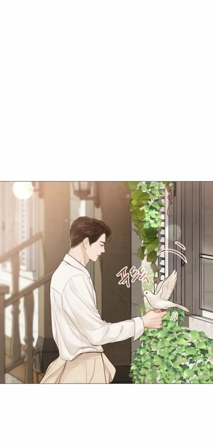 Read Cry, Even Better If You Beg chapter 52 image 34 on Lezhin