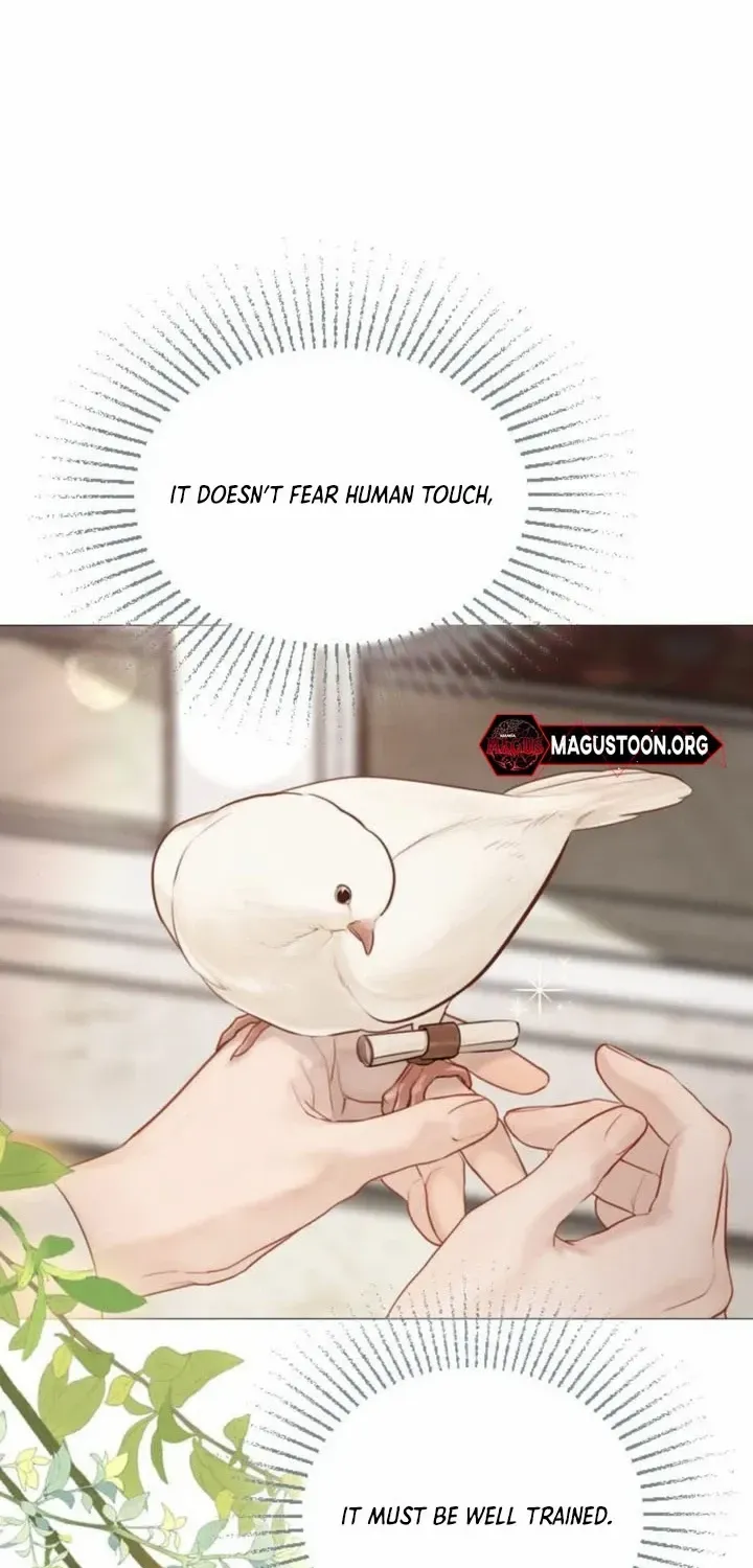 Read Cry, Even Better If You Beg chapter 52 image 35 on Lezhin