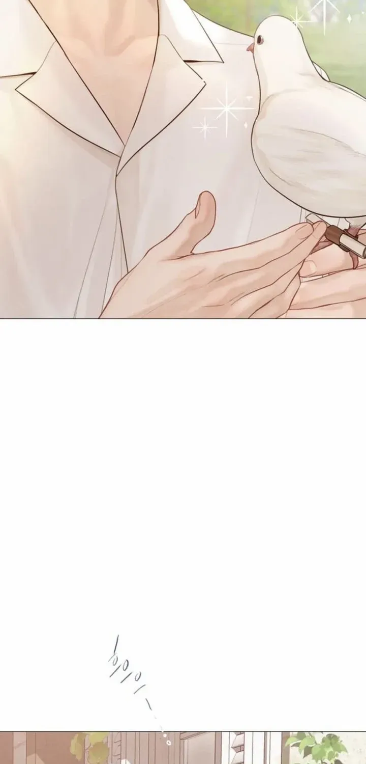 Read Cry, Even Better If You Beg chapter 52 image 37 on Lezhin