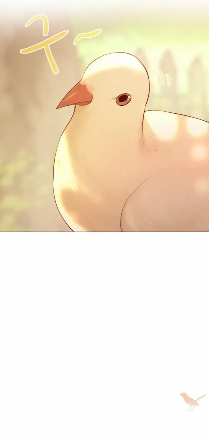 Read Cry, Even Better If You Beg chapter 53 image 85 on Lezhin