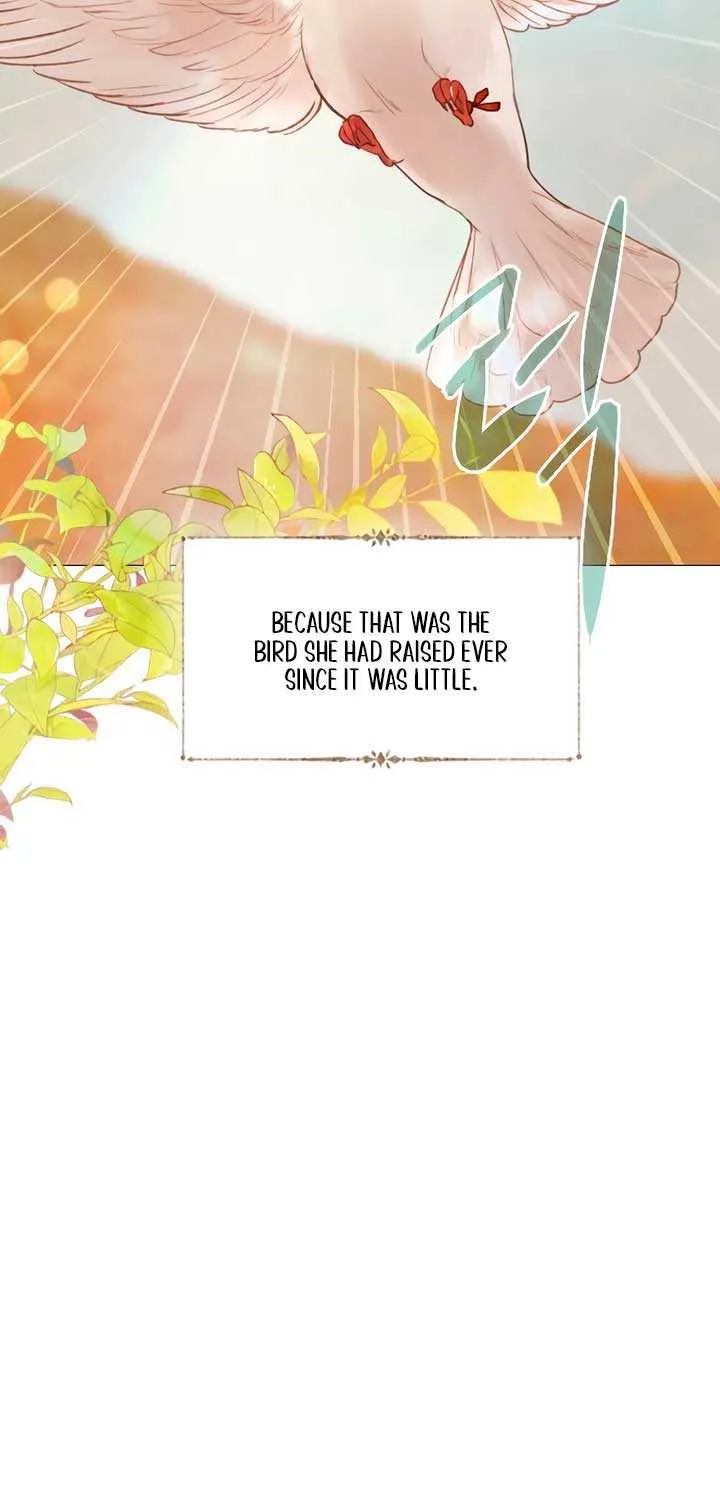 Read Cry, Even Better If You Beg chapter 61 image 53 on Lezhin