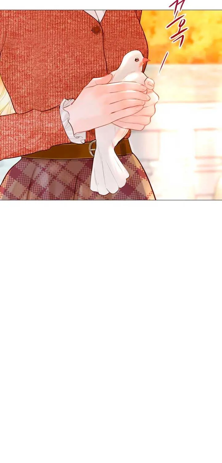 Read Cry, Even Better If You Beg chapter 61 image 68 on Lezhin
