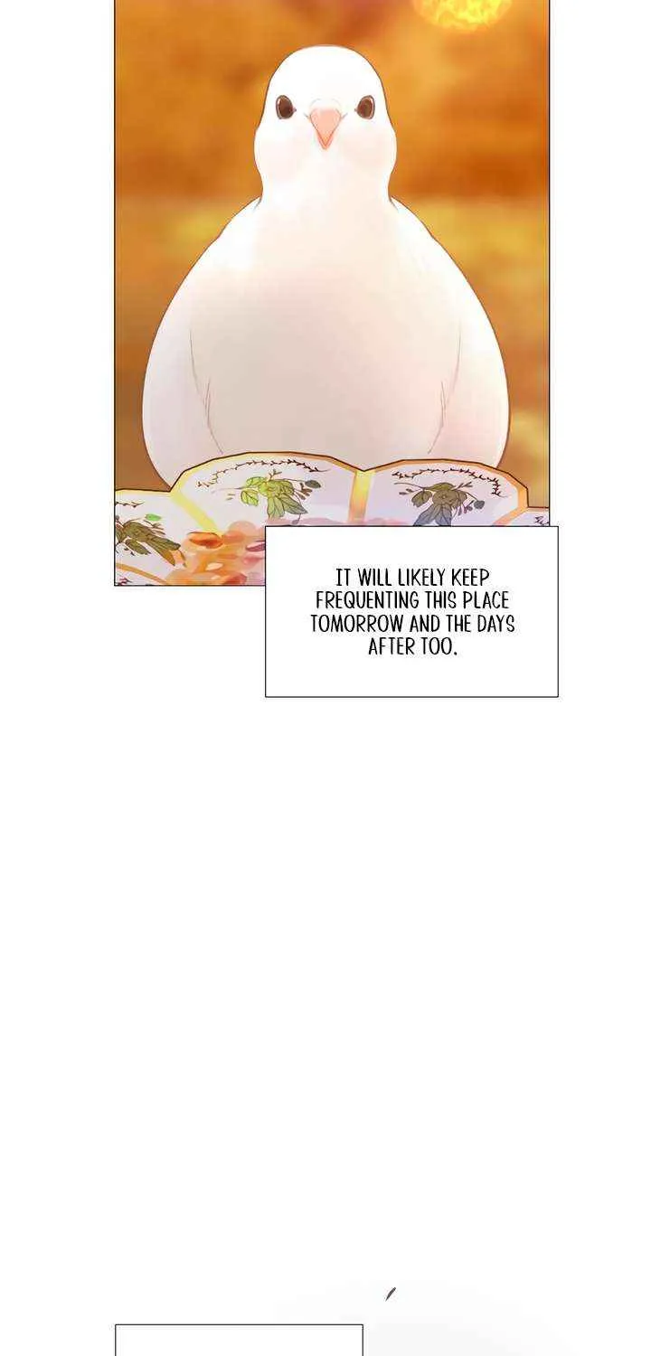 Read Cry, Even Better If You Beg chapter 62 image 76 on Lezhin