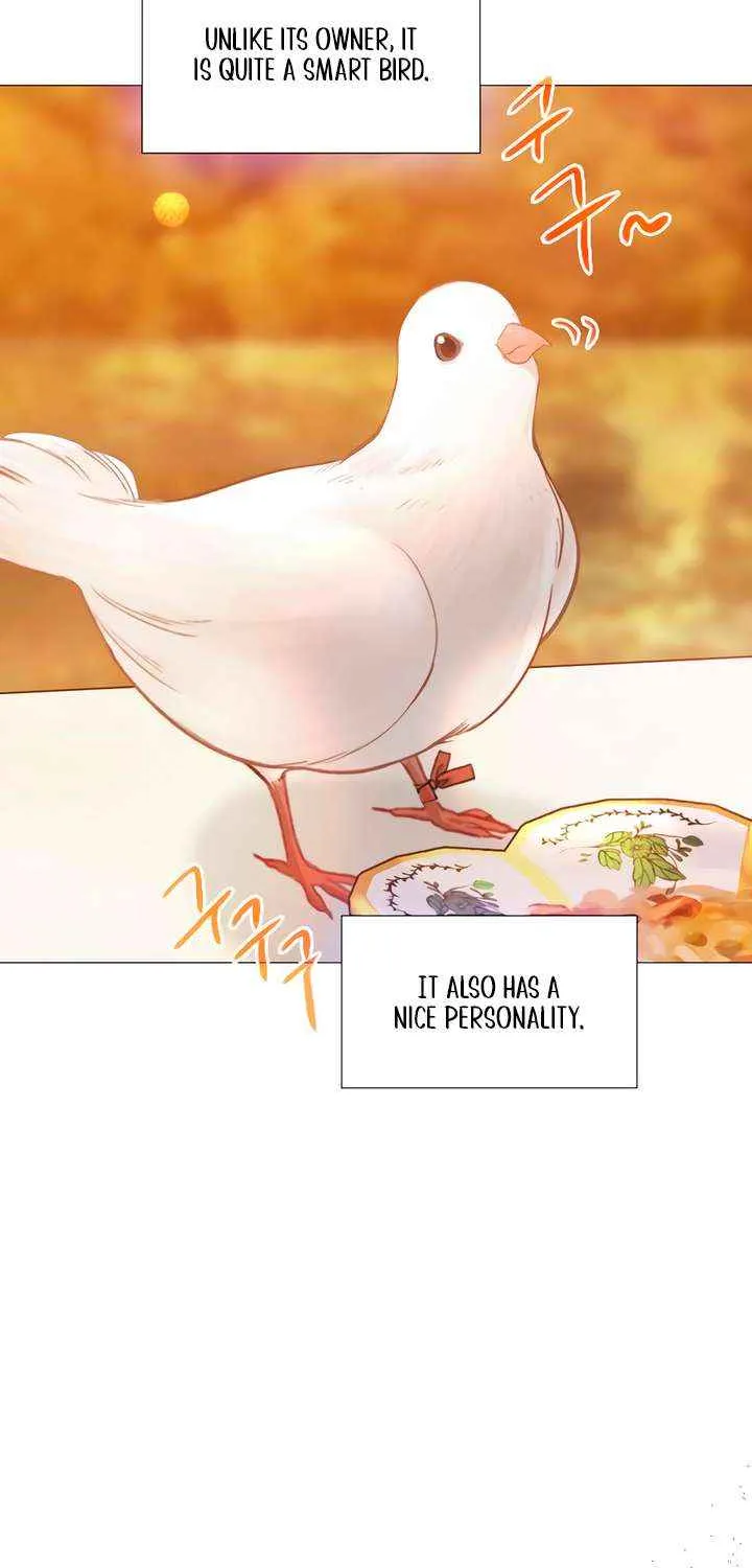 Read Cry, Even Better If You Beg chapter 62 image 79 on Lezhin