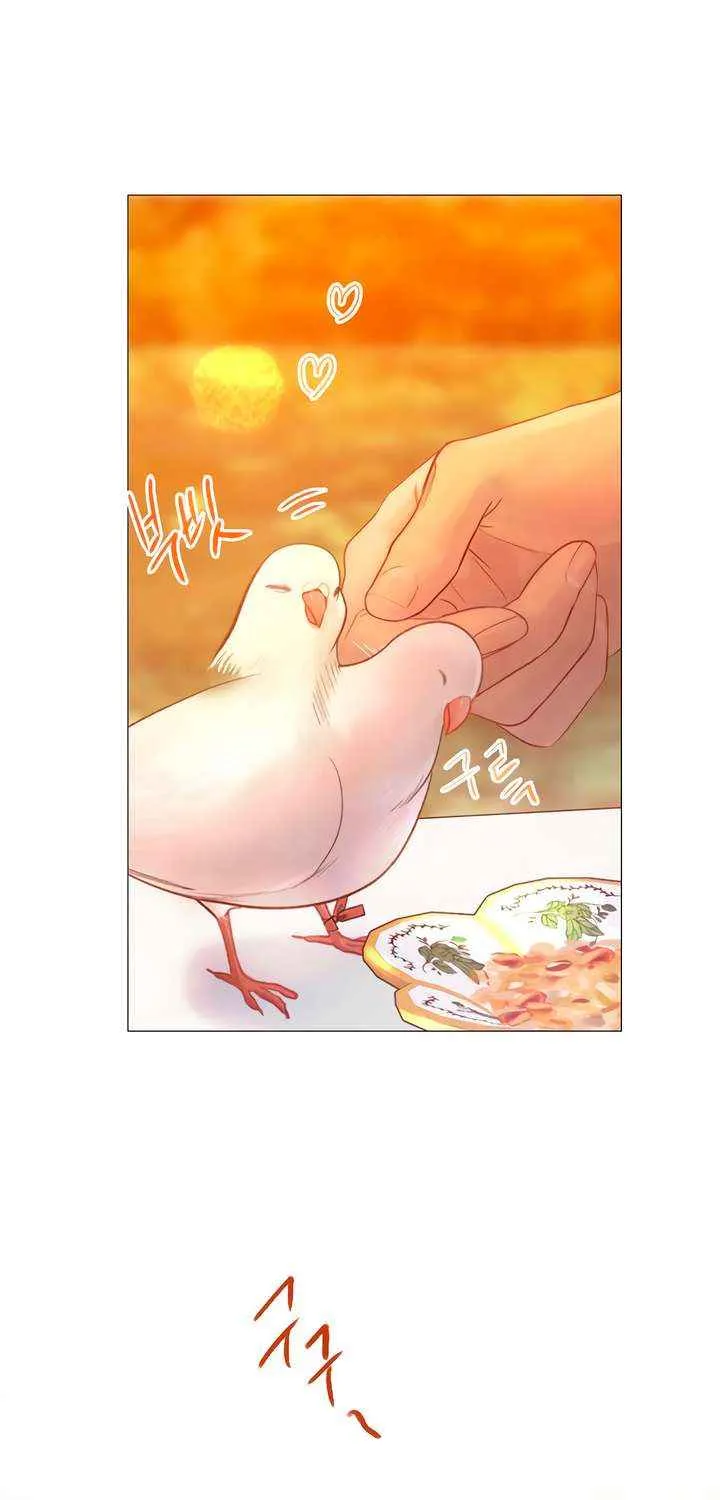 Read Cry, Even Better If You Beg chapter 62 image 84 on Lezhin