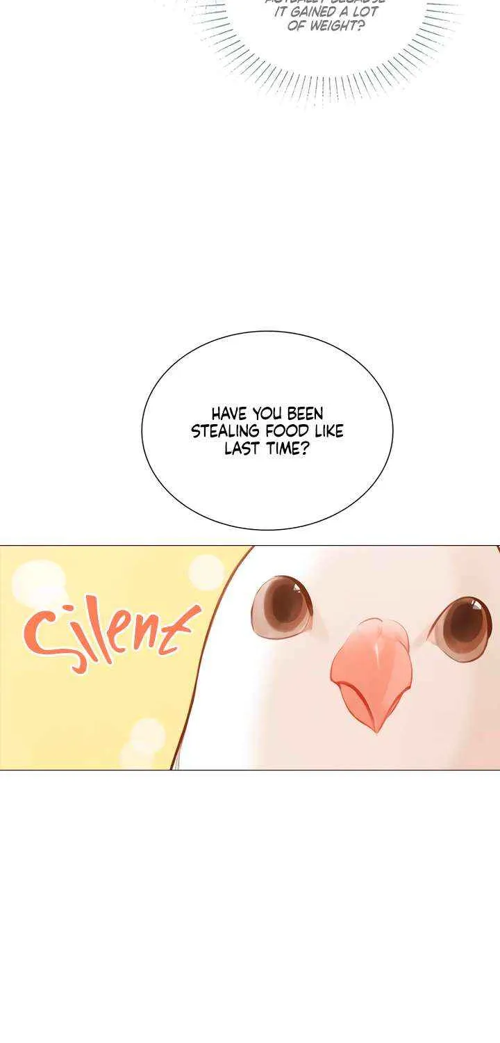 Read Cry, Even Better If You Beg chapter 63 image 10 on Lezhin
