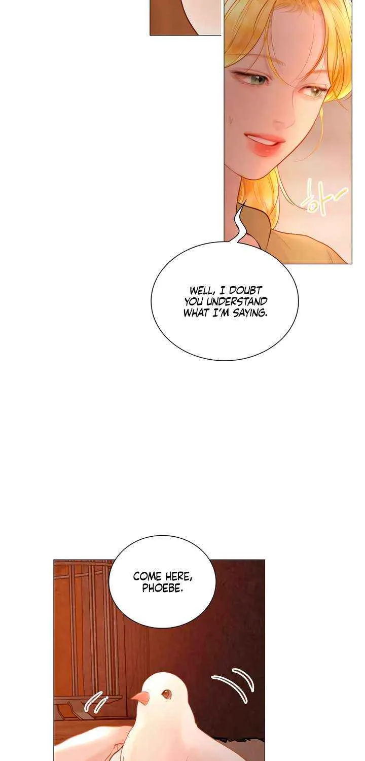 Read Cry, Even Better If You Beg chapter 63 image 5 on Lezhin