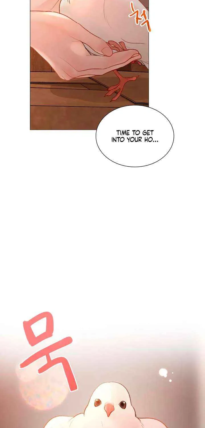 Read Cry, Even Better If You Beg chapter 63 image 6 on Lezhin