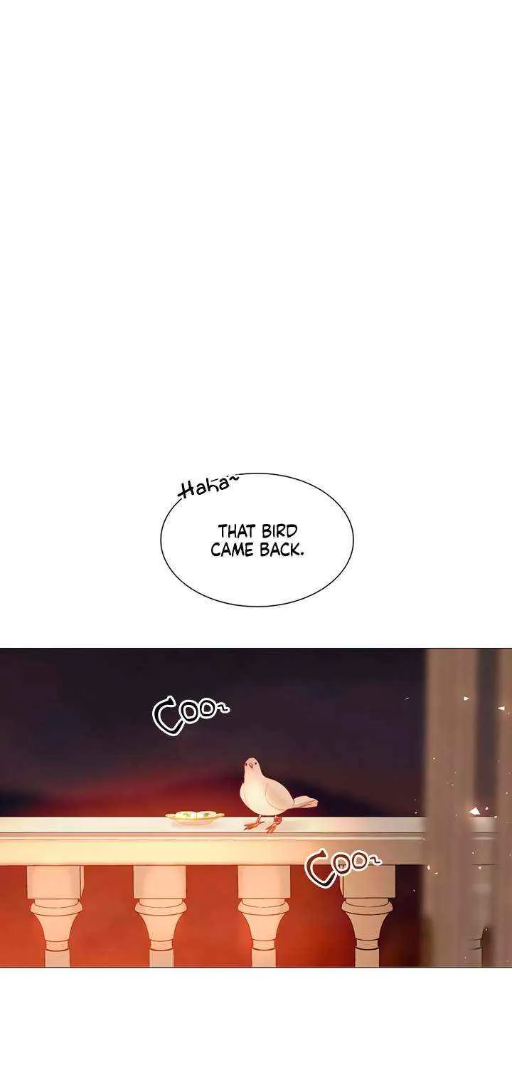 Read Cry, Even Better If You Beg chapter 64 image 55 on Lezhin