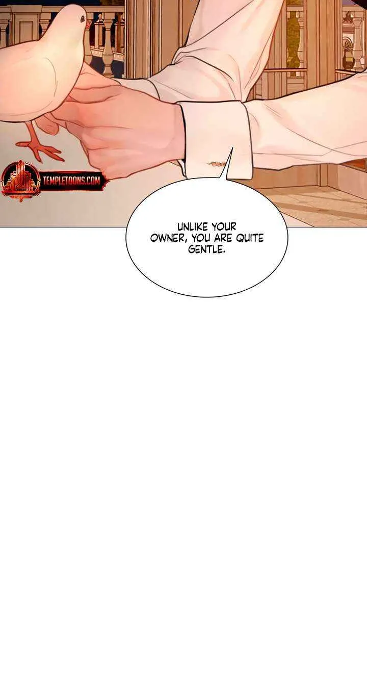Read Cry, Even Better If You Beg chapter 64 image 64 on Lezhin