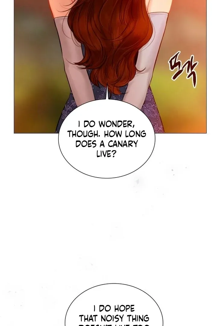 Read Cry, Even Better If You Beg chapter 65 image 94 on Lezhin