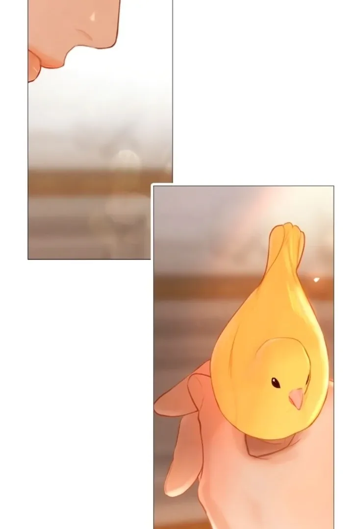 Read Cry, Even Better If You Beg chapter 68 image 46 on Lezhin