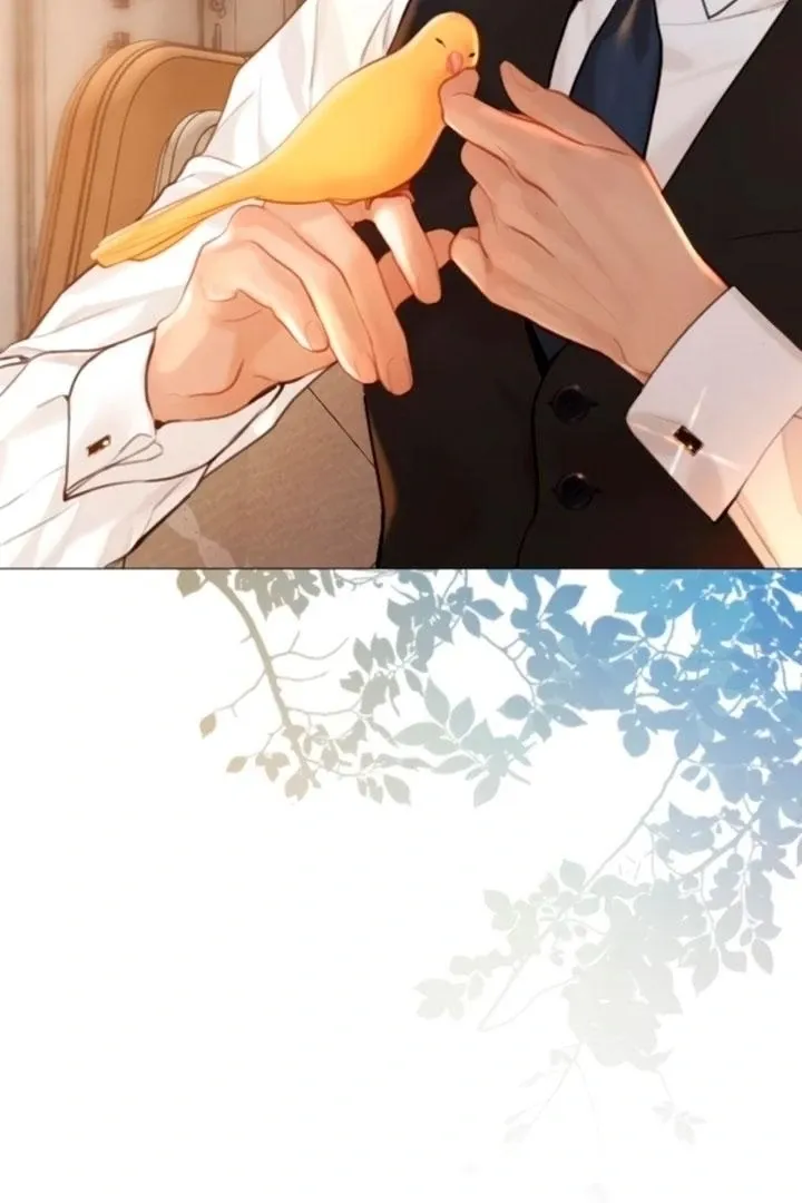 Read Cry, Even Better If You Beg chapter 68 image 8 on Lezhin