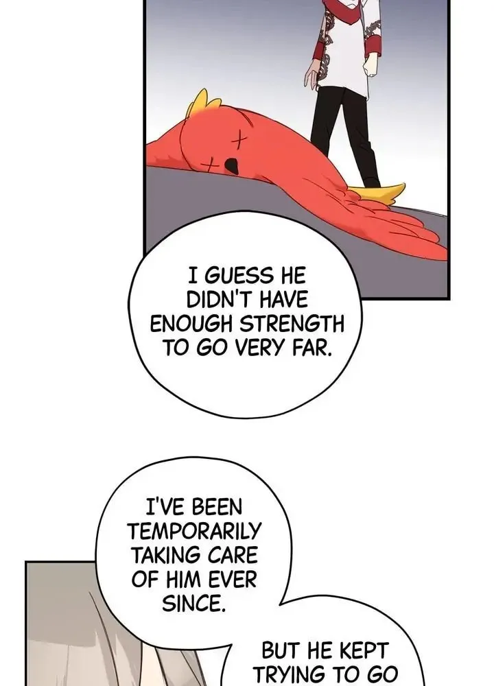 Read Cry for Me, Crown Prince chapter 10 image 5 on Lezhin