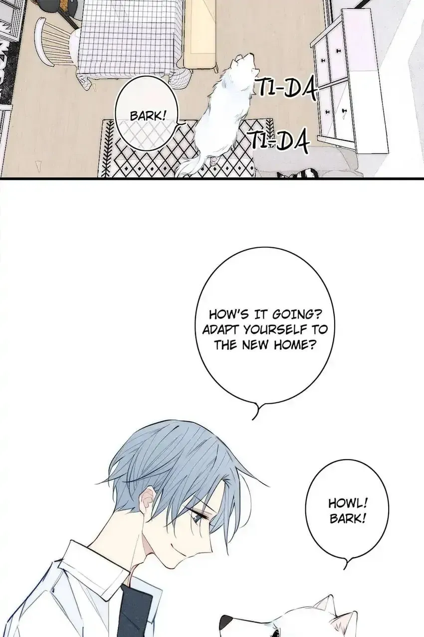 Read Cry for Me chapter 106 image 19 on Lezhin
