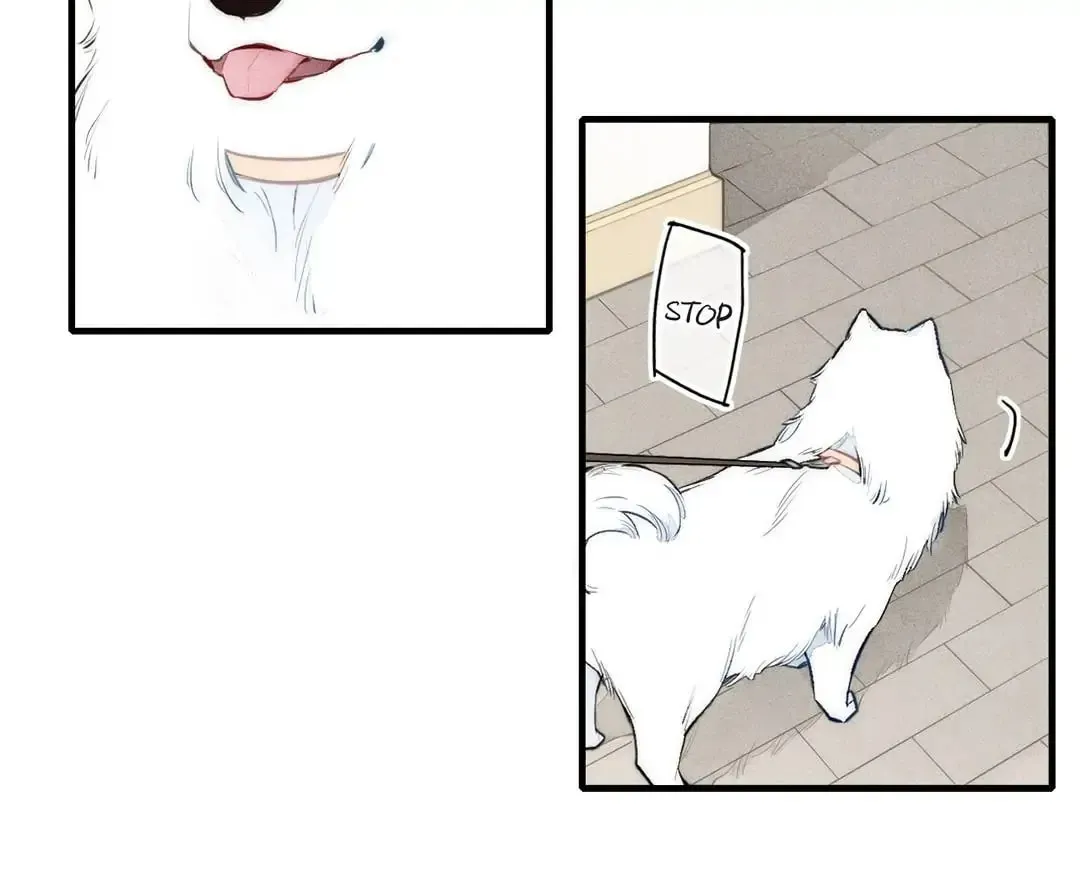 Read Cry for Me chapter 107 image 34 on Lezhin