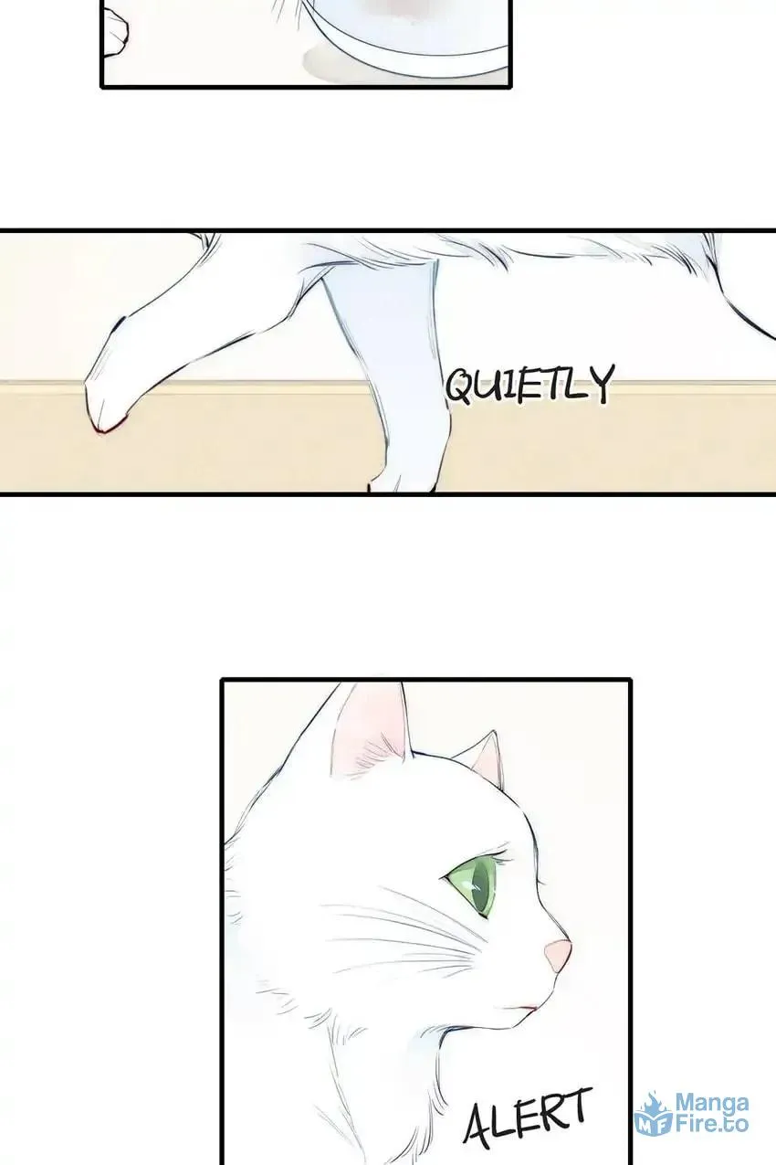 Read Cry for Me chapter 107 image 38 on Lezhin
