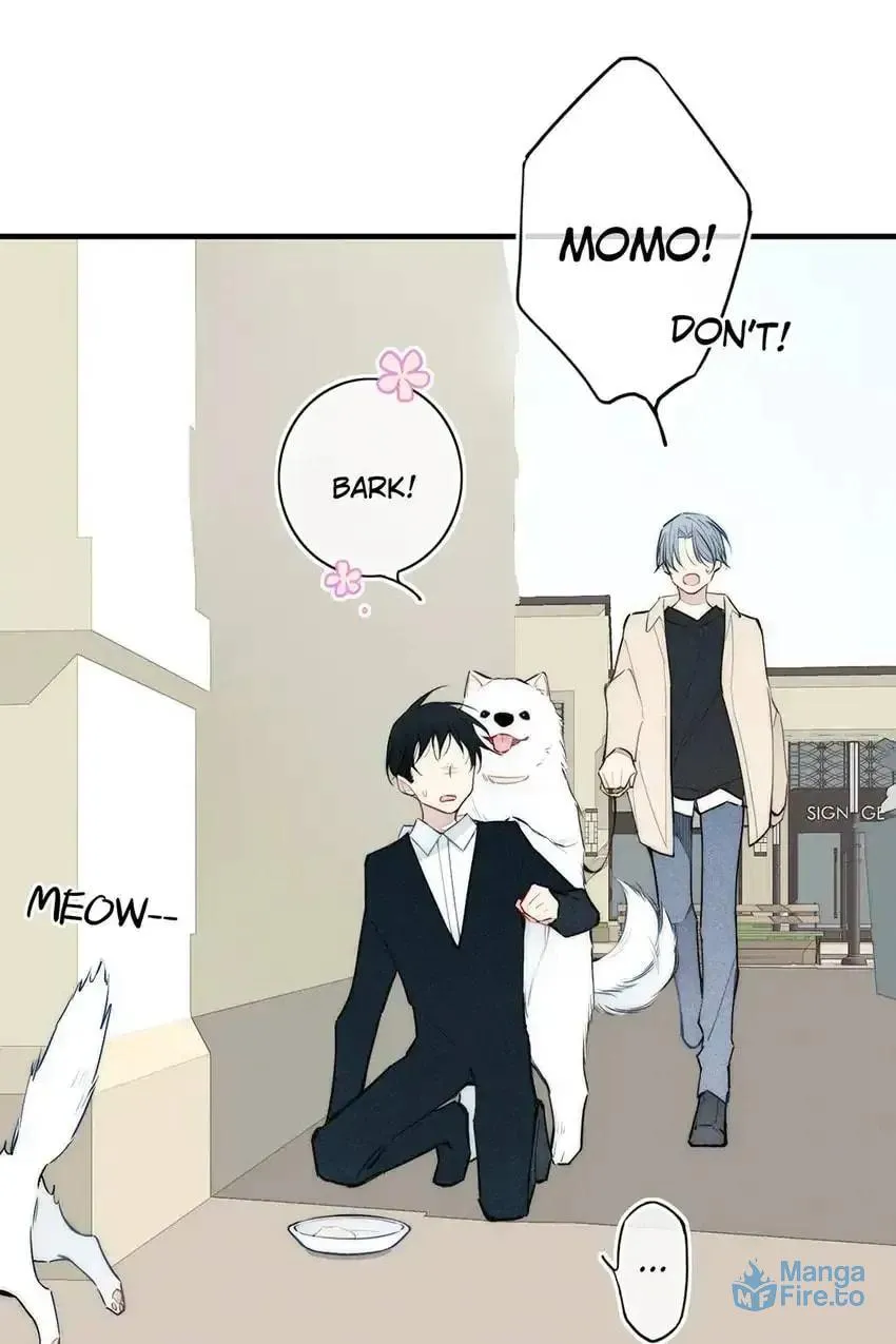 Read Cry for Me chapter 107 image 41 on Lezhin