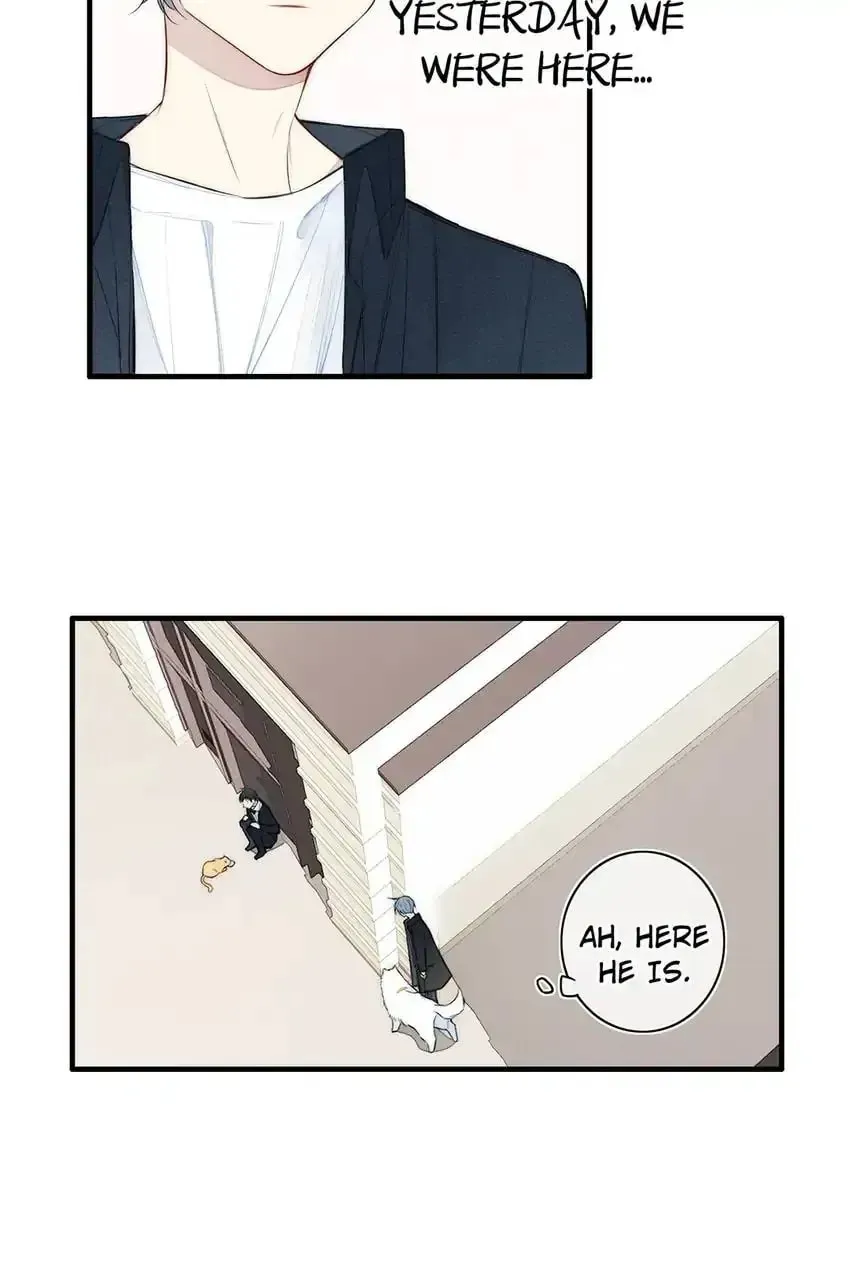 Read Cry for Me chapter 109 image 3 on Lezhin