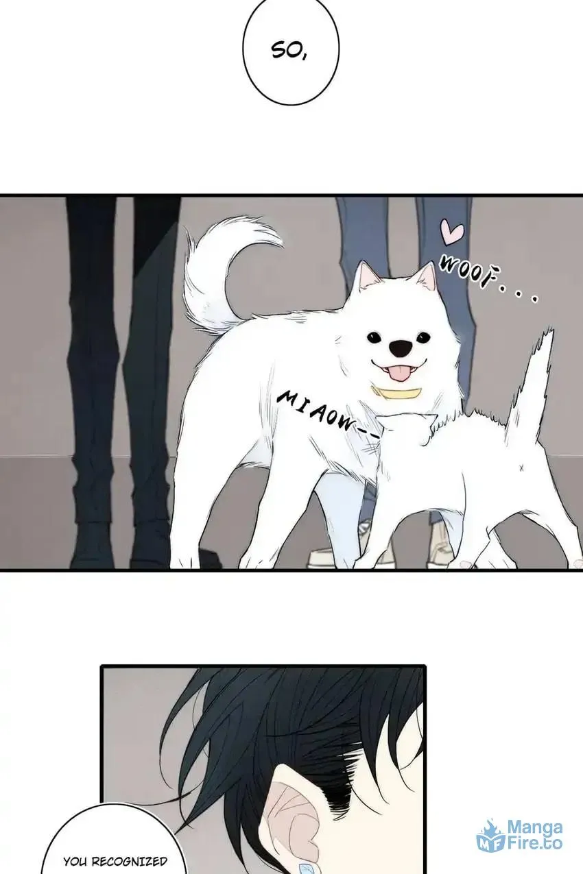 Read Cry for Me chapter 111 image 32 on Lezhin