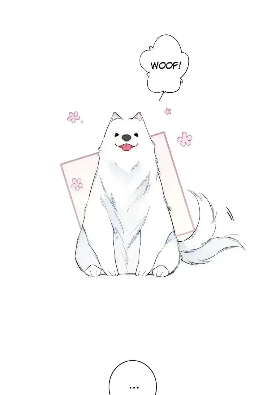 Read Cry for Me chapter 117 image 24 on Lezhin