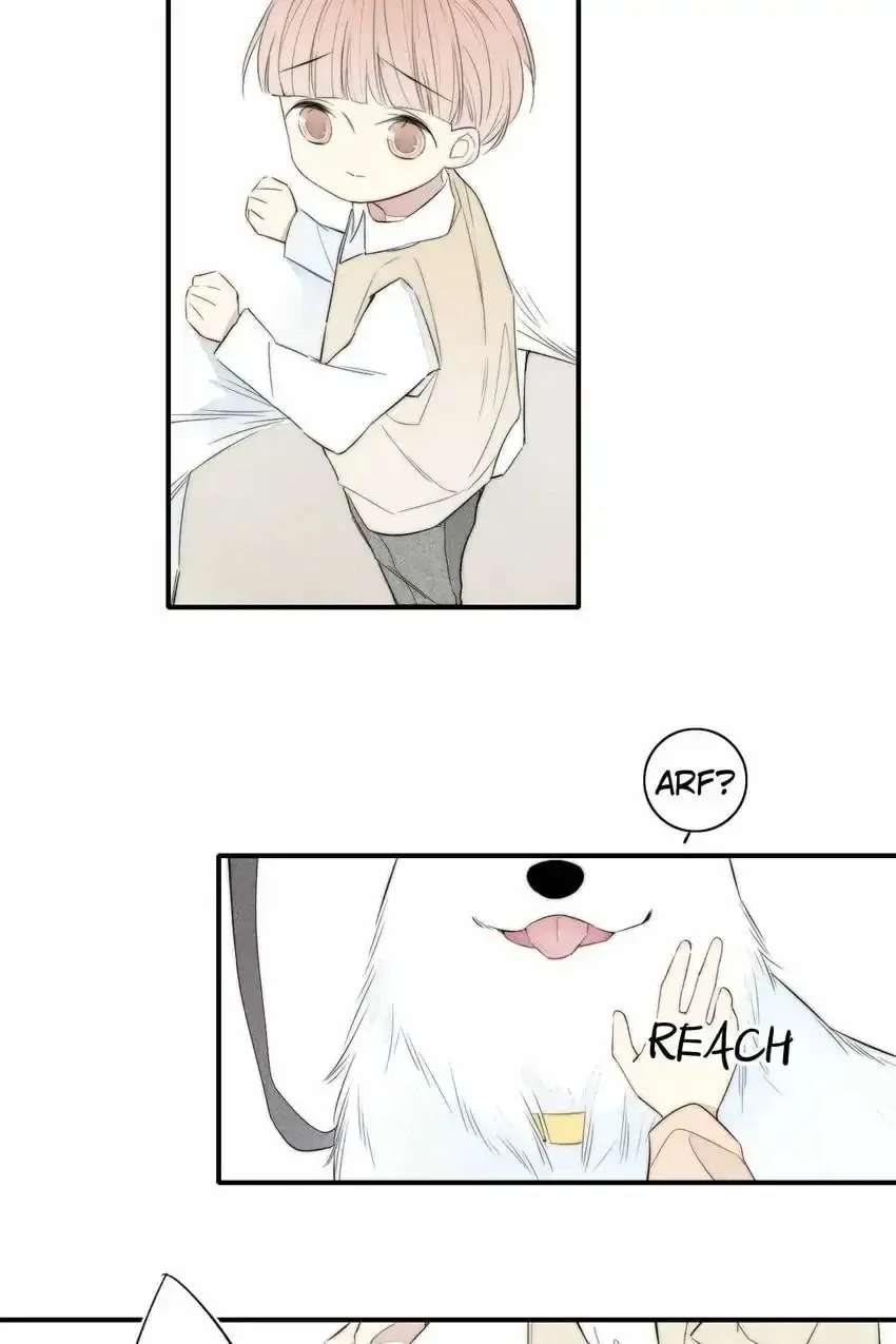 Read Cry for Me chapter 152 image 15 on Lezhin
