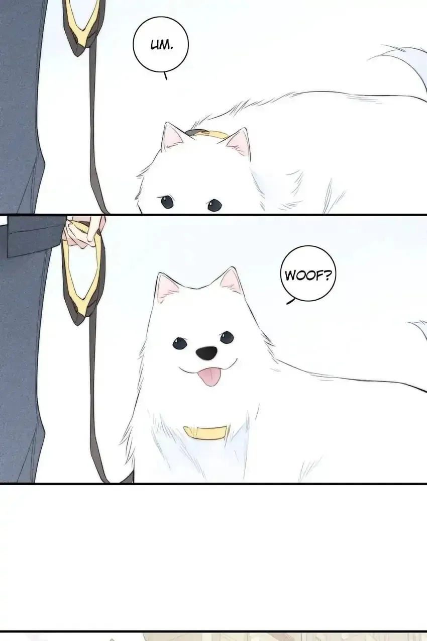 Read Cry for Me chapter 156 image 40 on Lezhin