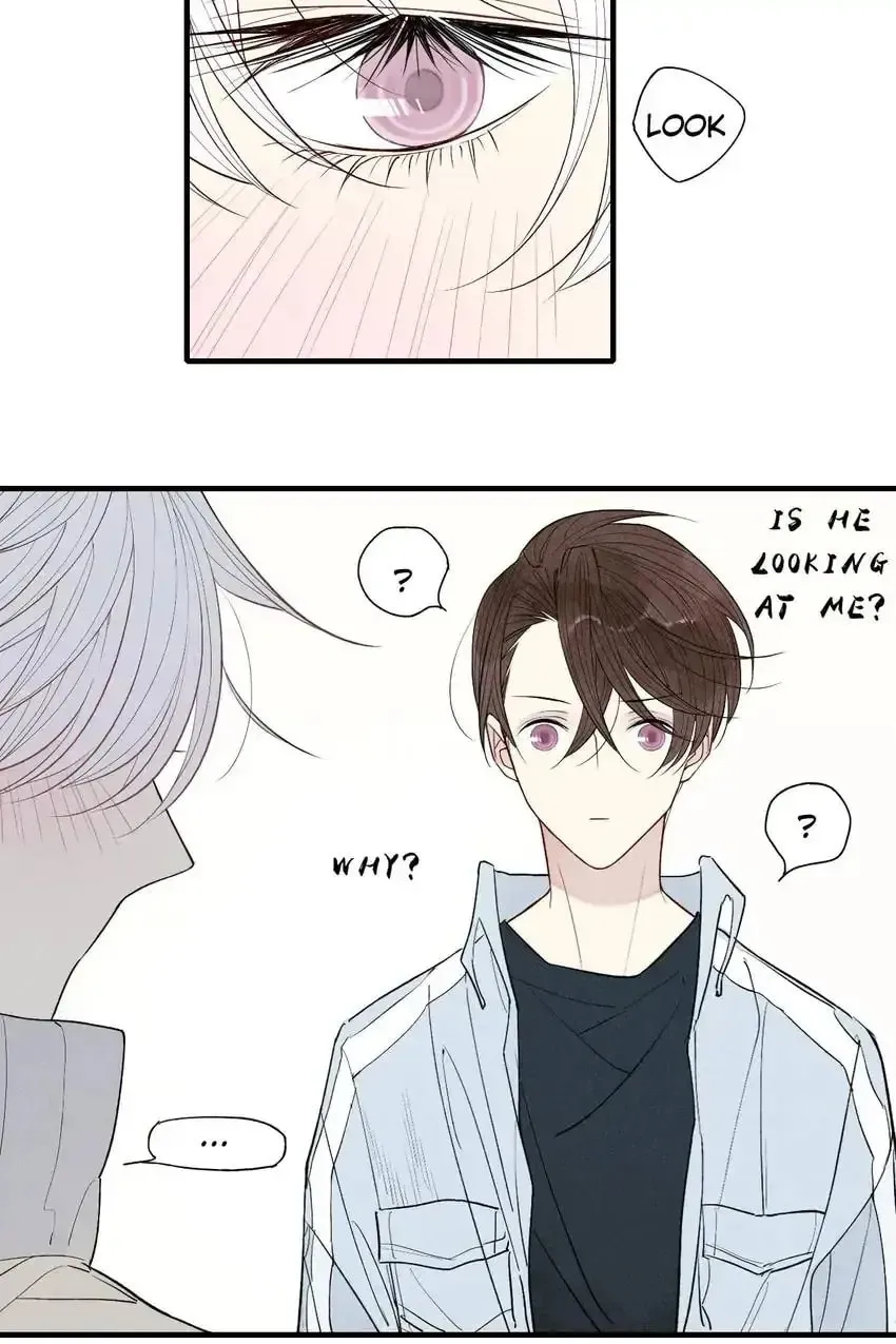 Read Cry for Me chapter 52 image 13 on Lezhin