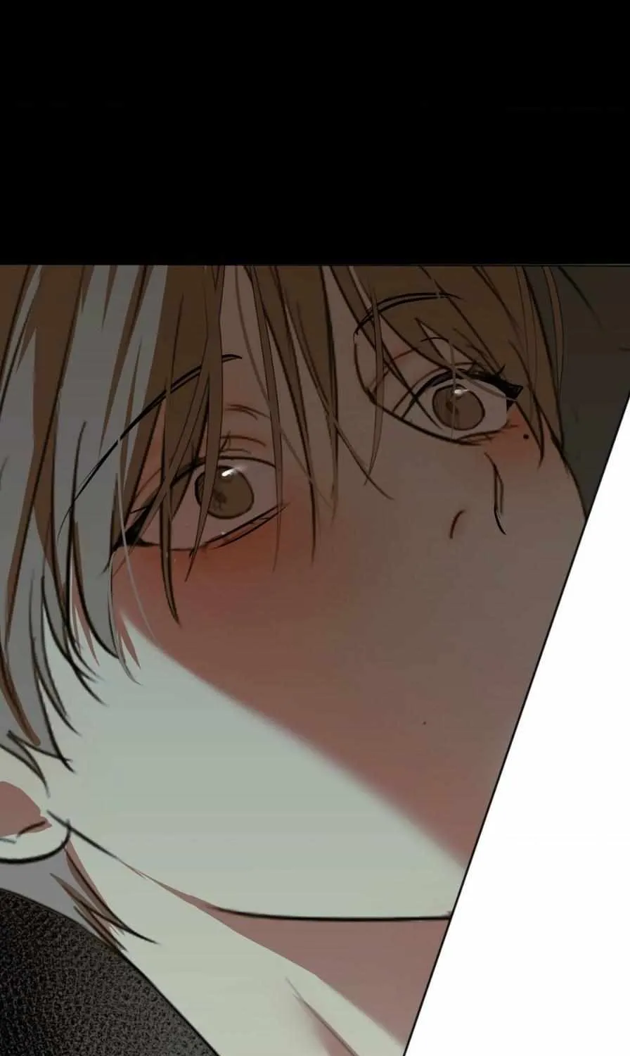 Read Cry Me a River chapter 13 image 41 on Lezhin