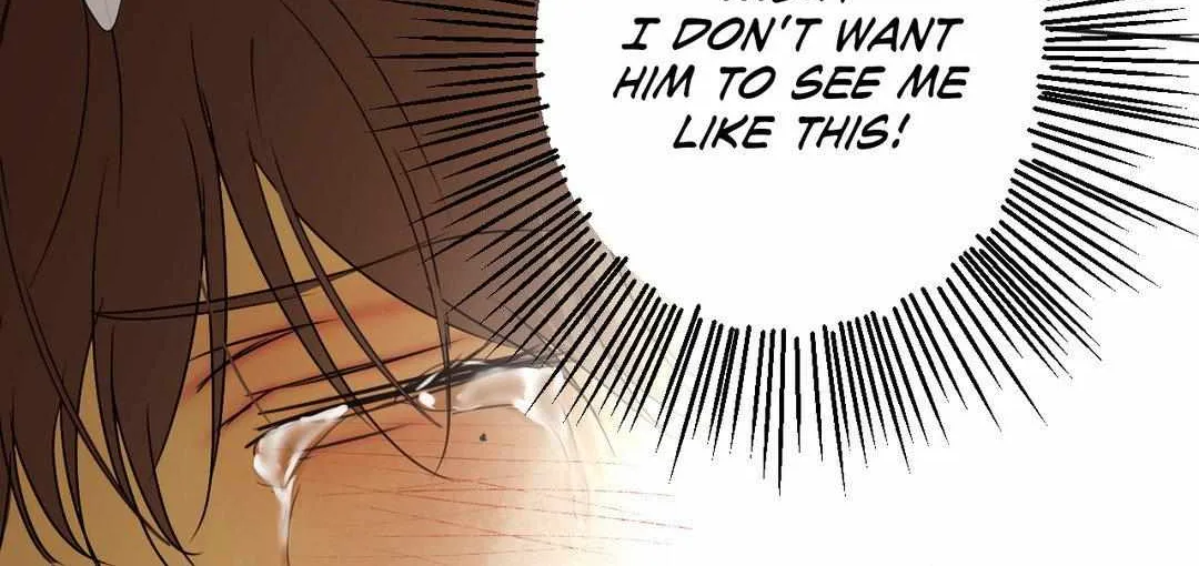 Read Cry Me a River chapter 33 image 67 on Lezhin