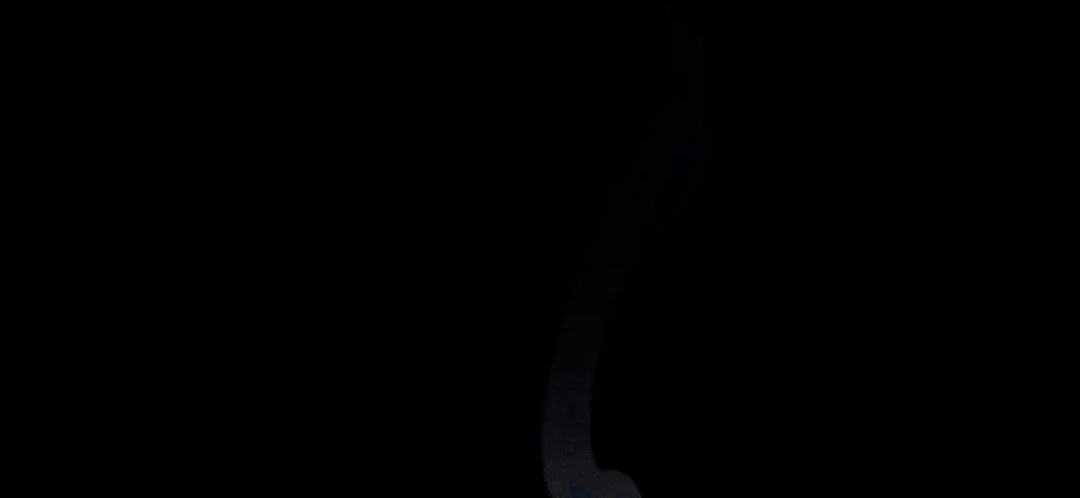 Cryptid Chapter 0.1 page 164 - 