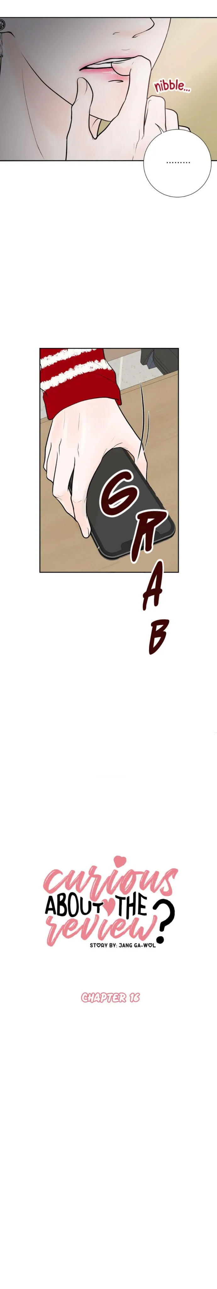 Read Curious about the Review? chapter 16 image 3 on Lezhin