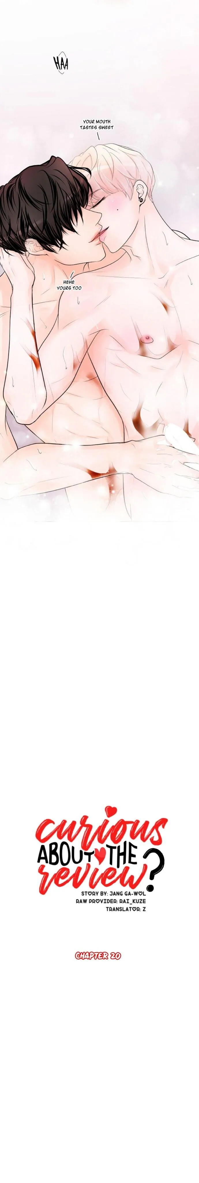 Read Curious about the Review? chapter 20 image 4 on Lezhin