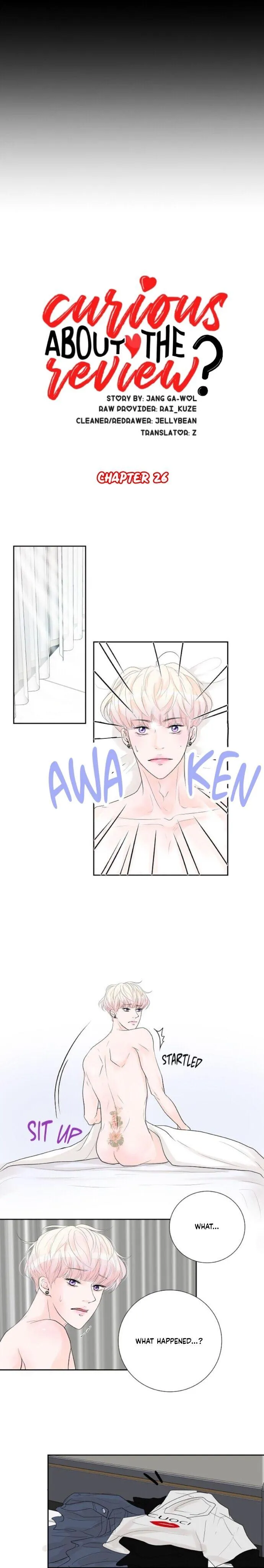 Read Curious about the Review? chapter 26 image 4 on Lezhin