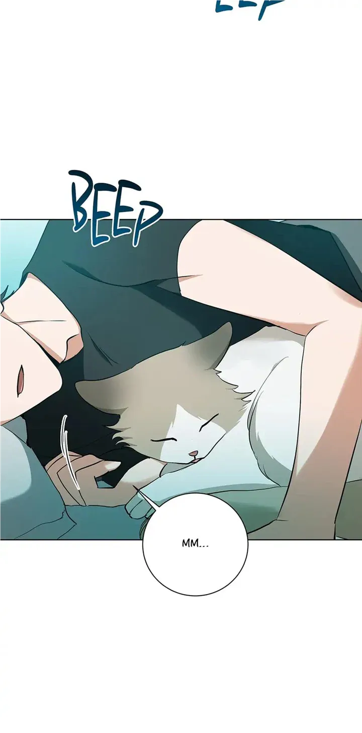 Read D:AZE chapter 27 image 1 on Lezhin