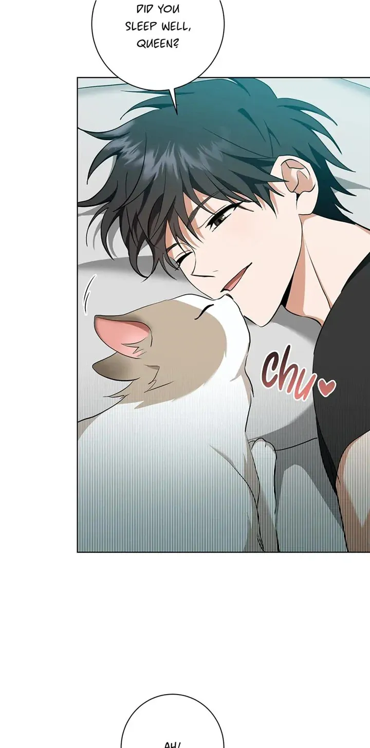 Read D:AZE chapter 27 image 3 on Lezhin