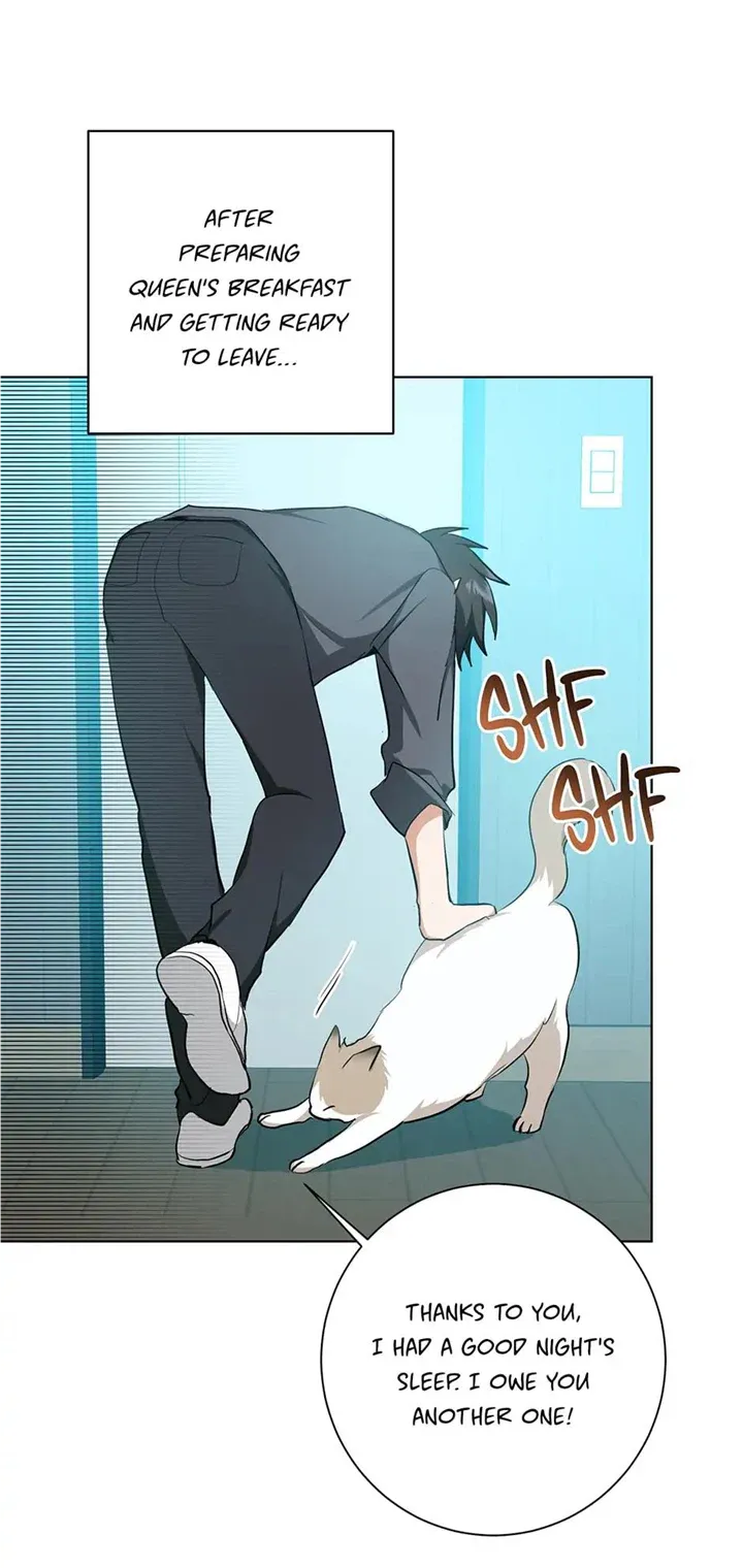 Read D:AZE chapter 27 image 8 on Lezhin