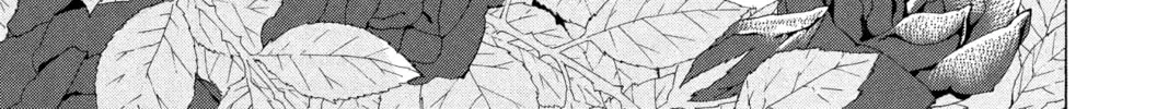 Read D.Gray-man chapter 105 image 1 on Lezhin