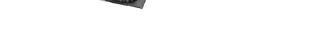 Read D.Gray-man chapter 15 image 1 on Lezhin
