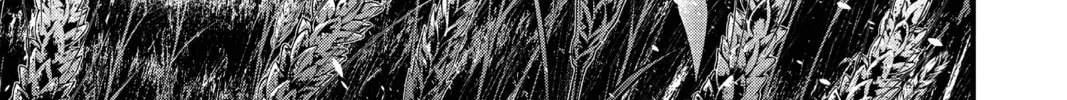 Read D.Gray-man chapter 222 image 13 on Lezhin