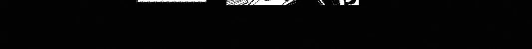 Read D.Gray-man chapter 222 image 3 on Lezhin