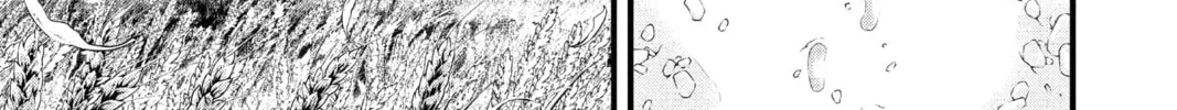 Read D.Gray-man chapter 236 image 37 on Lezhin