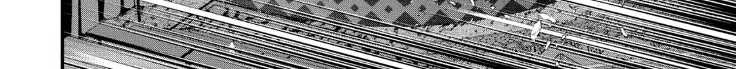 Read D.Gray-man chapter 241 image 13 on Lezhin