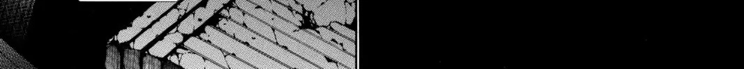 Read D.Gray-man chapter 41 image 13 on Lezhin