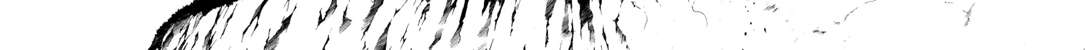 Read D.Gray-man chapter 48 image 15 on Lezhin