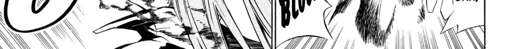 Read D.Gray-man chapter 70 image 13 on Lezhin