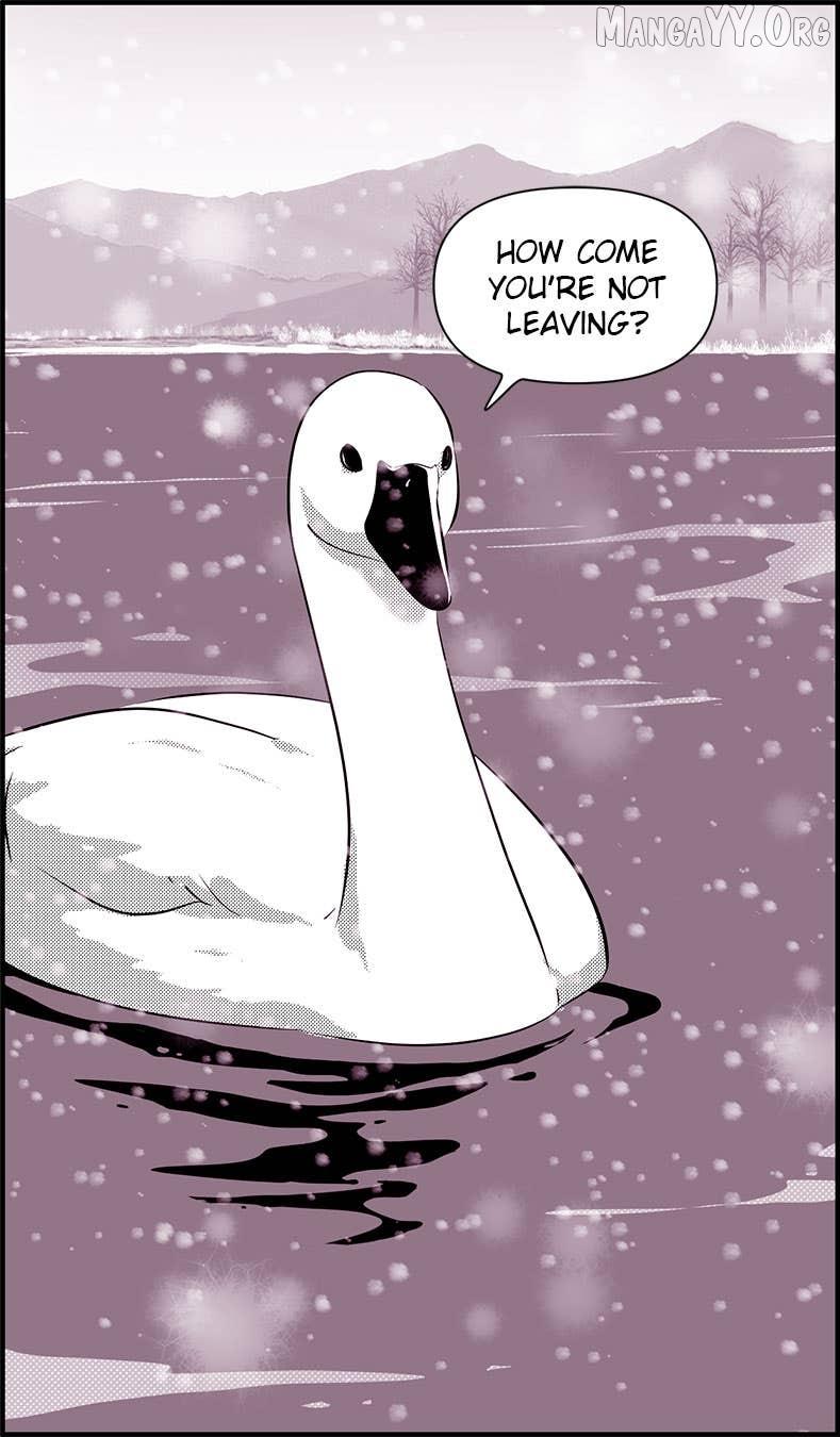 Read Daily JoJo chapter 188 image 30 on Lezhin