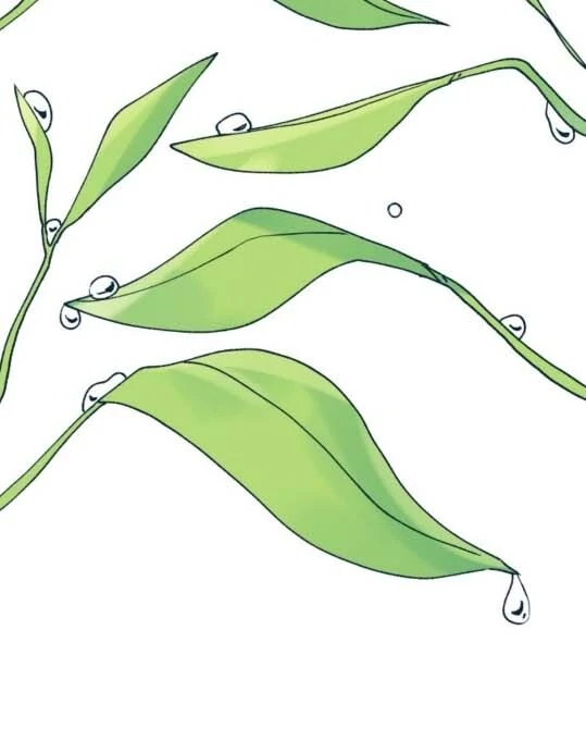 Dam of the Forest Chapter 97 page 146 - 