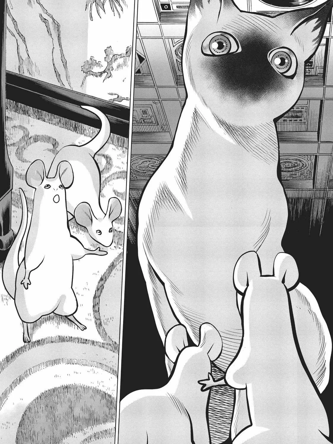 Dance in the Vampire Bund A.S.O. Chapter 37 page 4 - 