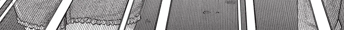 Read Dance in the Vampire Bund (SPECIAL EDITION) chapter 22 image 3 on Lezhin